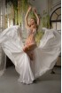 Professional bellydance costume (Classic 406A_1)